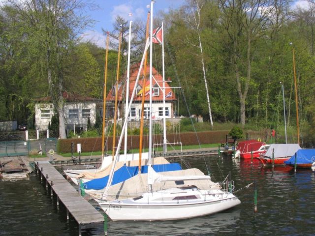 image13.jpg